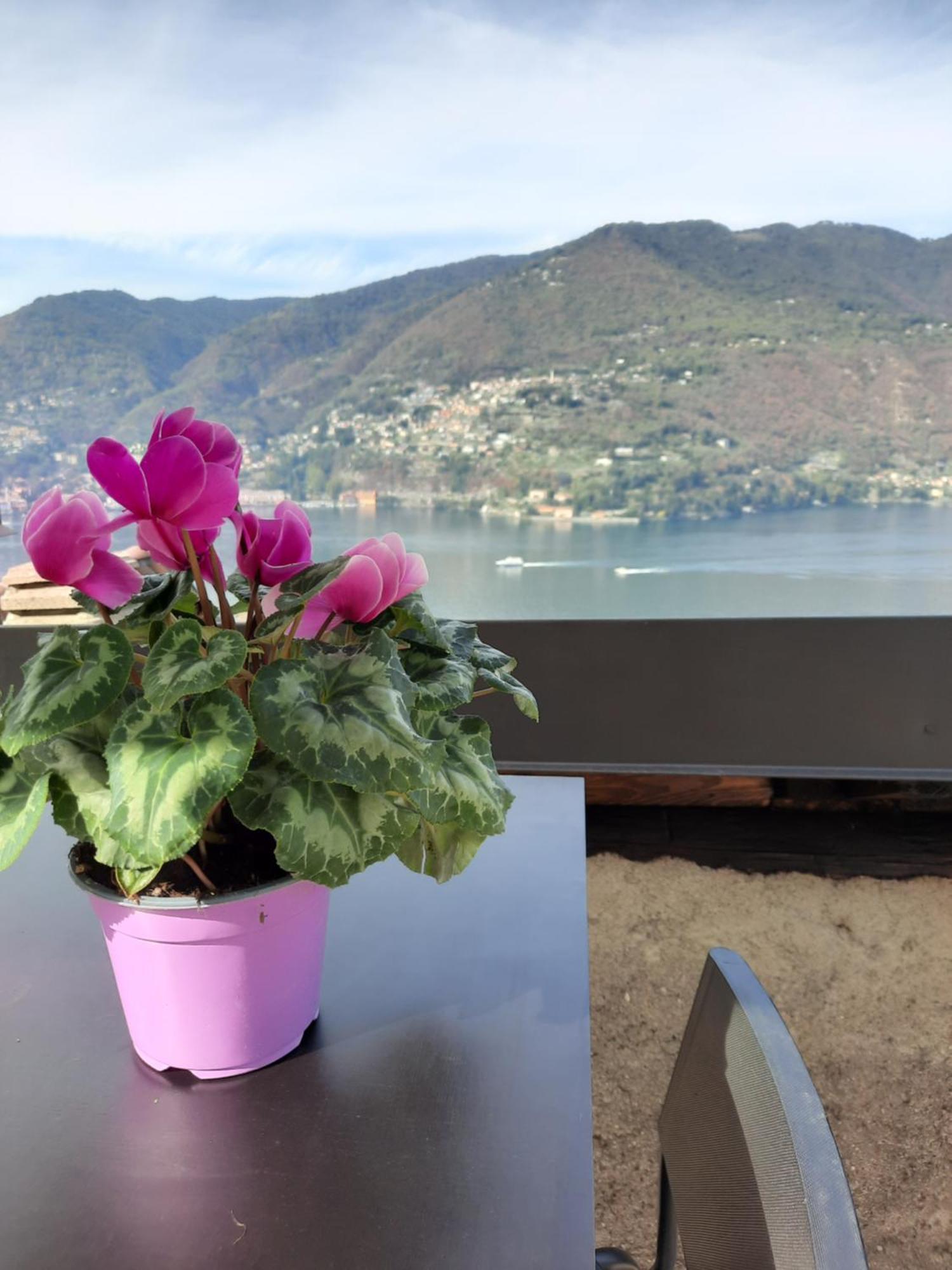 Luxury Room La Terrazza Sul Lago Di Como 布里维奥 外观 照片